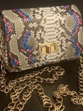 Mini Purse Bag With Chain Strap Faux Snake Print Crossbody Bag For Teens